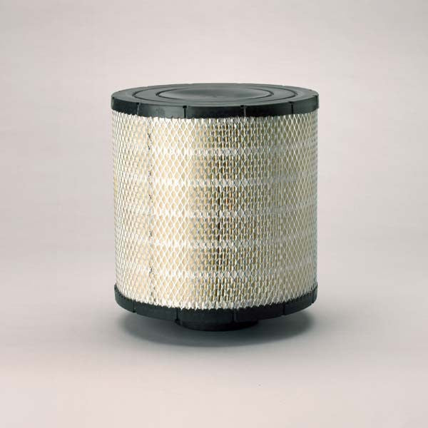 Donaldson - B105020