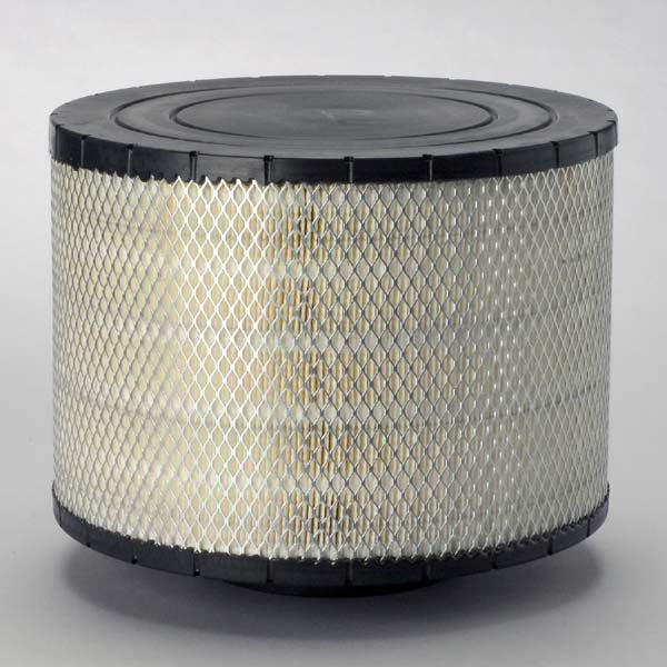 Donaldson - B125005