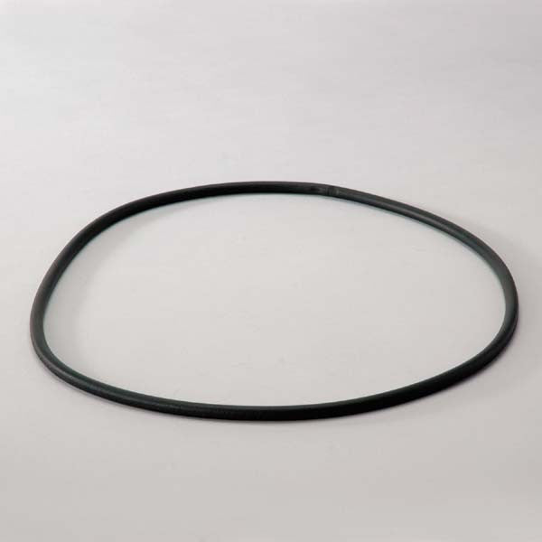 Donaldson O-ring - P017568