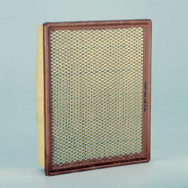 Donaldson Air Filter - P602657
