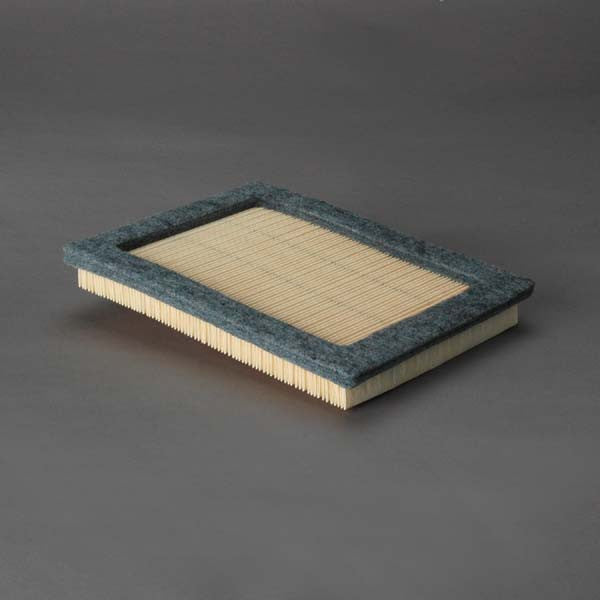 Donaldson Air Filter - P614543