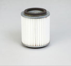 Donaldson Primary Air Filter - P500048