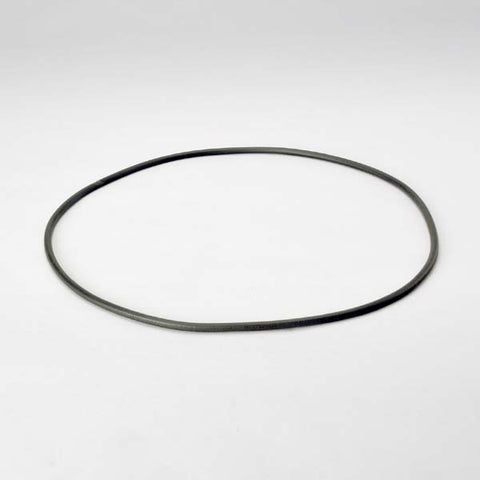 Donaldson O-ring - P017336