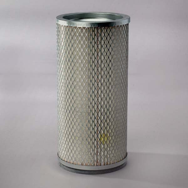 Donaldson Air Filter Safety- P119375
