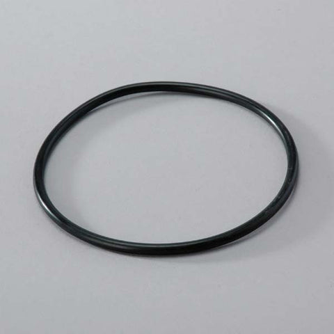 Donaldson O-ring - P160016