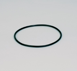 Donaldson Hydraulic O-Ring - P160137
