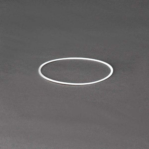 Donaldson Back-upRing - P161464