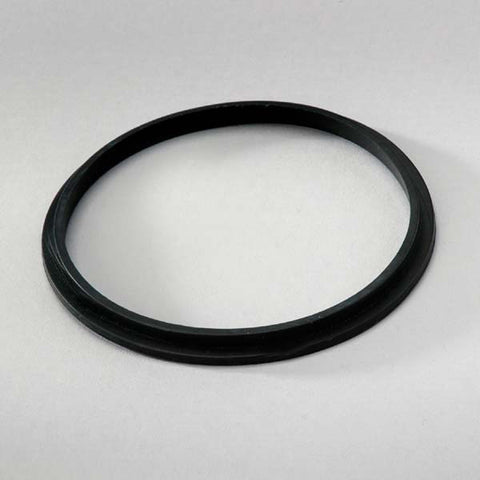 Donaldson Gasket - P170894