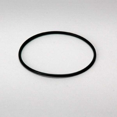 Donaldson O-ring - P174051