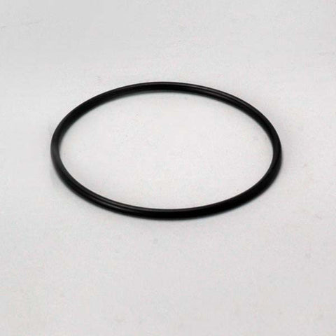 Donaldson O-ring - P175021