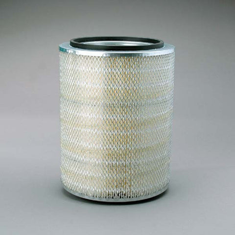 Donaldson  - P181096