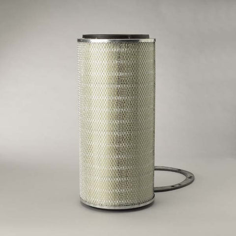 Donaldson  - P182007