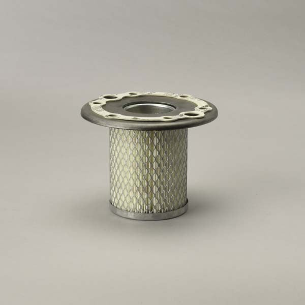 Donaldson Air Filter Safety- P527530