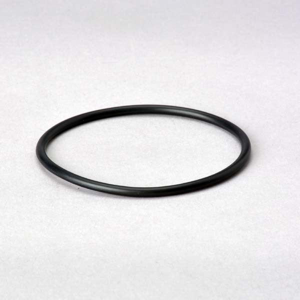 Donaldson Cs Assembly - P575060