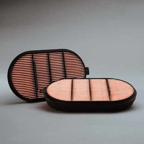 Donaldson Safety Air Filter - P601560