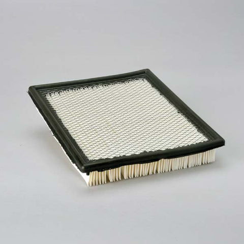 Donaldson Air Filter - P606063