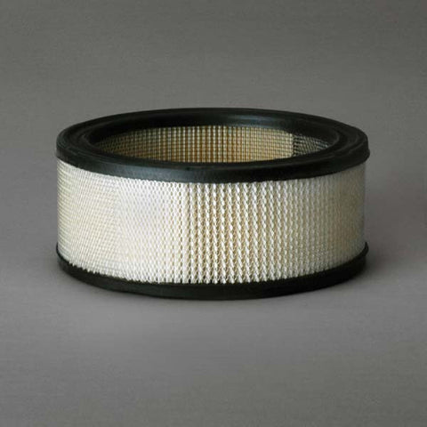 Donaldson Air Primary - P607255