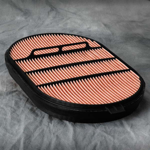 Donaldson Air Filter - P607557