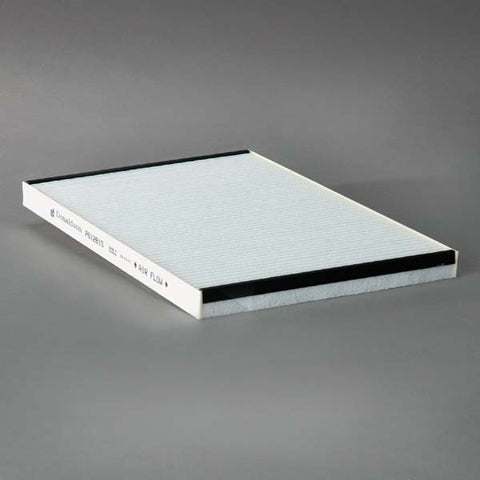 Donaldson Air Panel - P612815