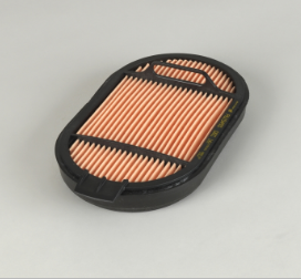 Donaldson Safety Filter - P615493