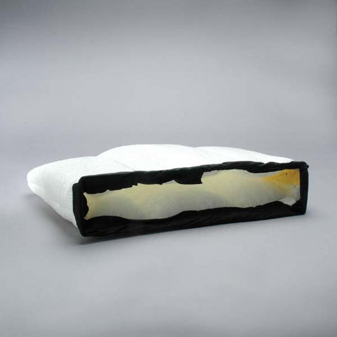 Donaldson Air Primary - P618922