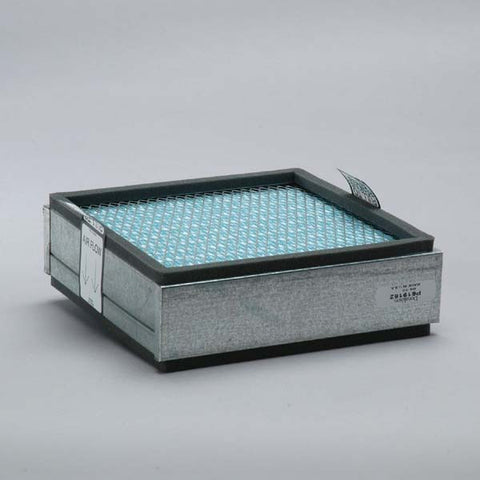 Donaldson Air Filter - P619182
