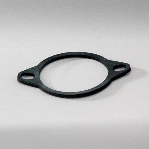 Donaldson Gasket - P760862