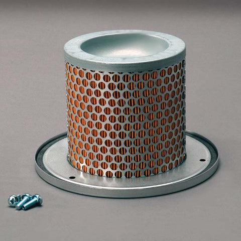 Donaldson Air Filter - P783501